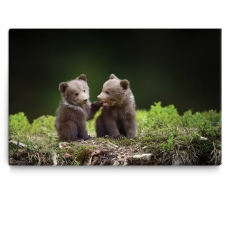 Dětský obraz Medvíďata v lese, 120x80 cm - 1