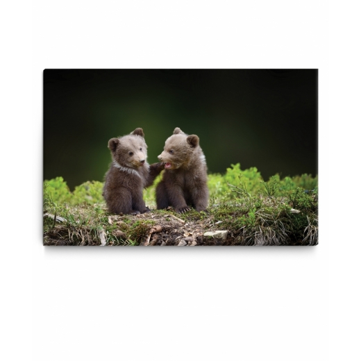 Detský obraz Medvieďatá v lese, 120x80 cm - 1