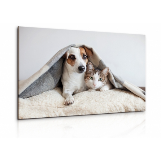Dětský obraz pes a kočka, 150x100 cm - 1