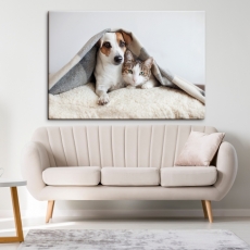 Dětský obraz pes a kočka, 150x100 cm - 2