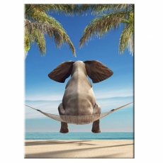 Dětský obraz vtipný slon, 50x70 cm - 1
