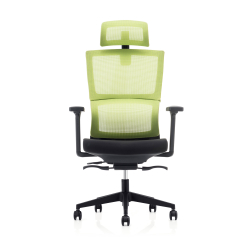 Ergonomická kancelárska stolička Grove, sieťovina, čierna / zelená