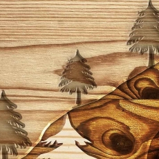 Imitácia dreveného obrazu Les, 40x30 cm - 4