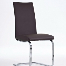 Jídelní židle Dusty (SET 2ks) - 1