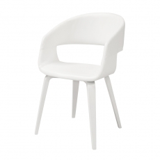 Jídelní židle Kimberly (SET 2 ks), bílá / bílá - 1