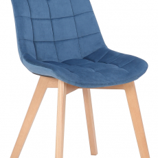 Jídelní židle Passaic, samet, modrá - 1