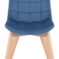 Jídelní židle Passaic, samet, modrá - 2
