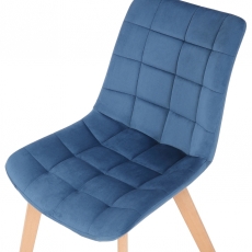 Jídelní židle Passaic, samet, modrá - 6