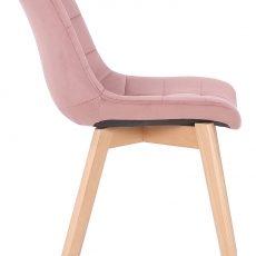 Jídelní židle Passaic, samet, růžová  - 3