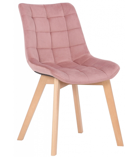 Jídelní židle Passaic, samet, růžová 