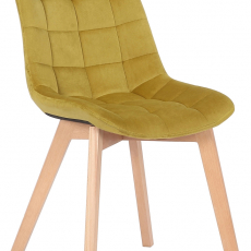 Jídelní židle Passaic, samet, žlutá - 1