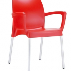 Jídelní židle s područkami Dolly (SET 2 ks) - 3