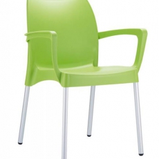Jídelní židle s područkami Dolly (SET 2 ks) - 1