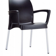 Jídelní židle s područkami Dolly (SET 2 ks) - 4