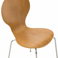 Jídelní židle Siena, přírodní dřevo - 6