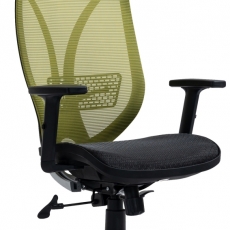 Kancelářská židle Libolo, zelená - 1