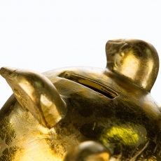 Kasička Pigg, 15,5 cm, zlatá - 3