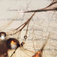 Moderný viacdielny obraz Jantárová príroda, 200x90 cm - 4