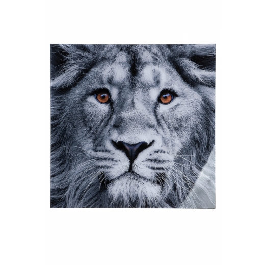 Nástěnný obraz Lion, bílá / černá - 1