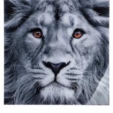 Nástěnný obraz Lion, bílá / černá - 1