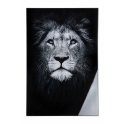 Nástenný obraz Lion II, biela / čierna