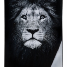 Nástěnný obraz Lion II, bílá / černá - 1