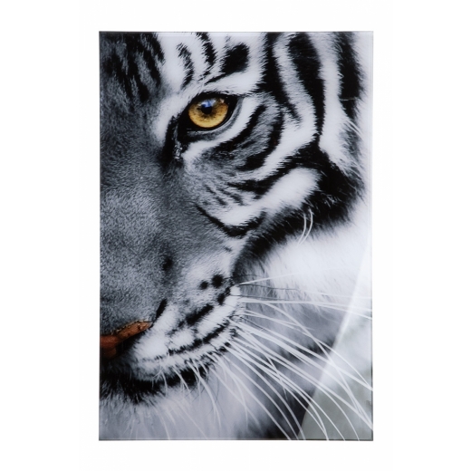 Nástenný obraz Tiger, biela / čierna - 1