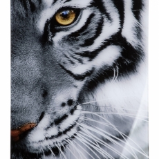 Nástěnný obraz Tiger, bílá / černá - 1