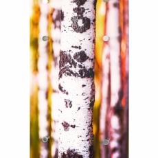 Nástenný vešiak Birch, 90 cm - 1