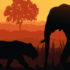Obraz Africké safari, 120x80 cm - 4