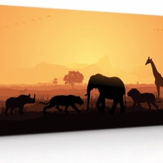 Obraz Africké safari, 90x60 cm - 3