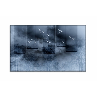 Obraz Čajky v čiernej, 100x60 cm