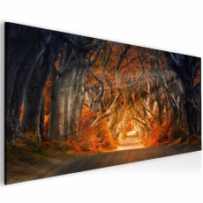 Obraz Čarovná alej, 150x80 cm - 1