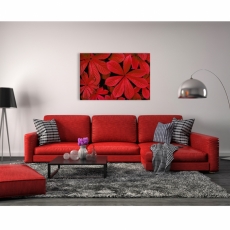Obraz Červené listí, 120x80 cm - 2