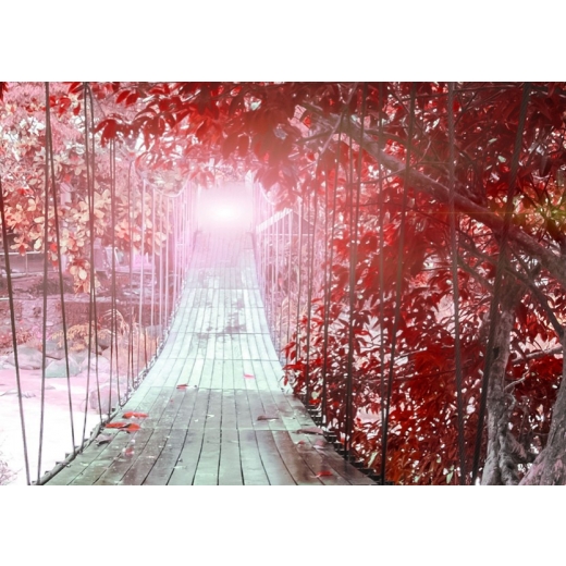 Obraz Červený ráj, 120x80 cm - 1