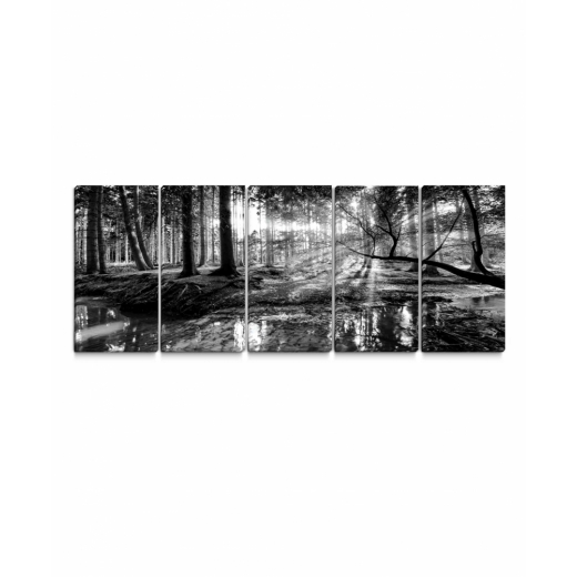 Obraz Čiernobiela pohoda lesa, 100x45 cm - 1