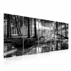 Obraz Čiernobiela pohoda lesa, 100x45 cm - 2