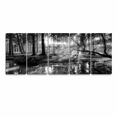 Obraz Čiernobiela pohoda lesa, 100x45 cm - 1