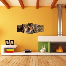 Obraz Číhající tygr, 150x60 cm - 2