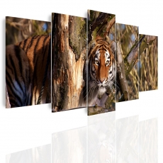 Obraz Číhajúci tiger, 150x60 cm - 3