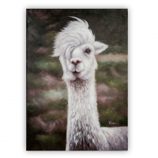 Obraz Cool Lama 100 cm, olej na plátně - 1