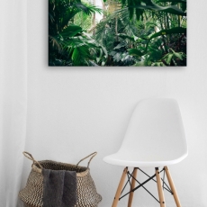 Obraz Domáca džungľa, 120x80 cm - 2