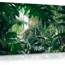 Obraz Domáca džungľa, 90x60 cm - 3