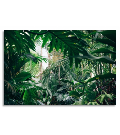 Obraz Domácí džungle, 120x80 cm