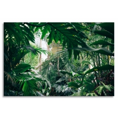 Obraz Domácí džungle, 90x60 cm