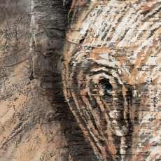 Obraz Elephant, 195 cm, olej na plátne - 7