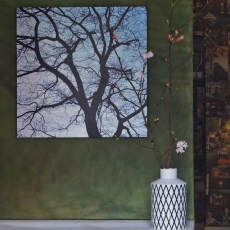 Obraz Fifty50 Old Trees 1, 50x50 cm - 4