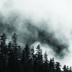 Obraz Hmla v Alpách v čiernobielej, 150x100 cm - 4