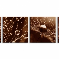 Obraz Jantarové kapky rosy, 60x60 cm - 3