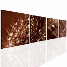Obraz Jantárové kvapky rosy, 60x60 cm - 2